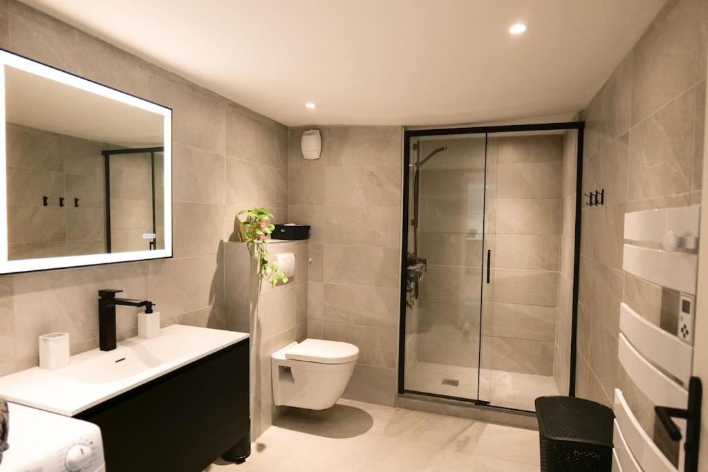 Апартаменты Hypercentre Rue Pietonne Au Calme Тулуза Экстерьер фото